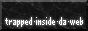 trapped-inside-da-web_tidw