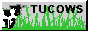 tucows1