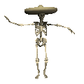 3D skeleton
